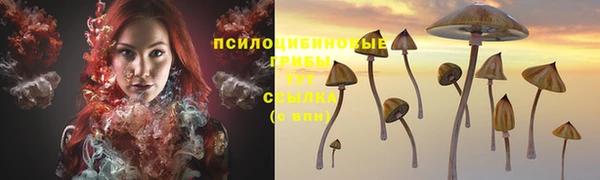 mix Белокуриха