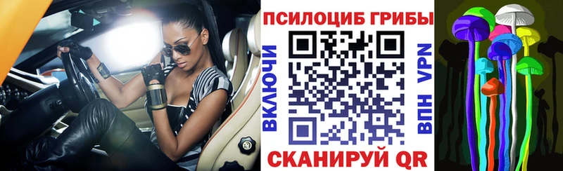 Галлюциногенные грибы Psilocybine cubensis  Фурманов 