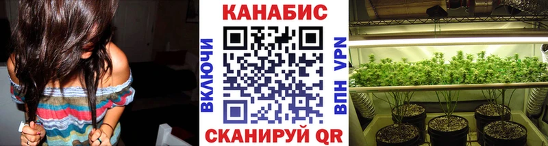 Каннабис Bruce Banner  что такое   Фурманов 
